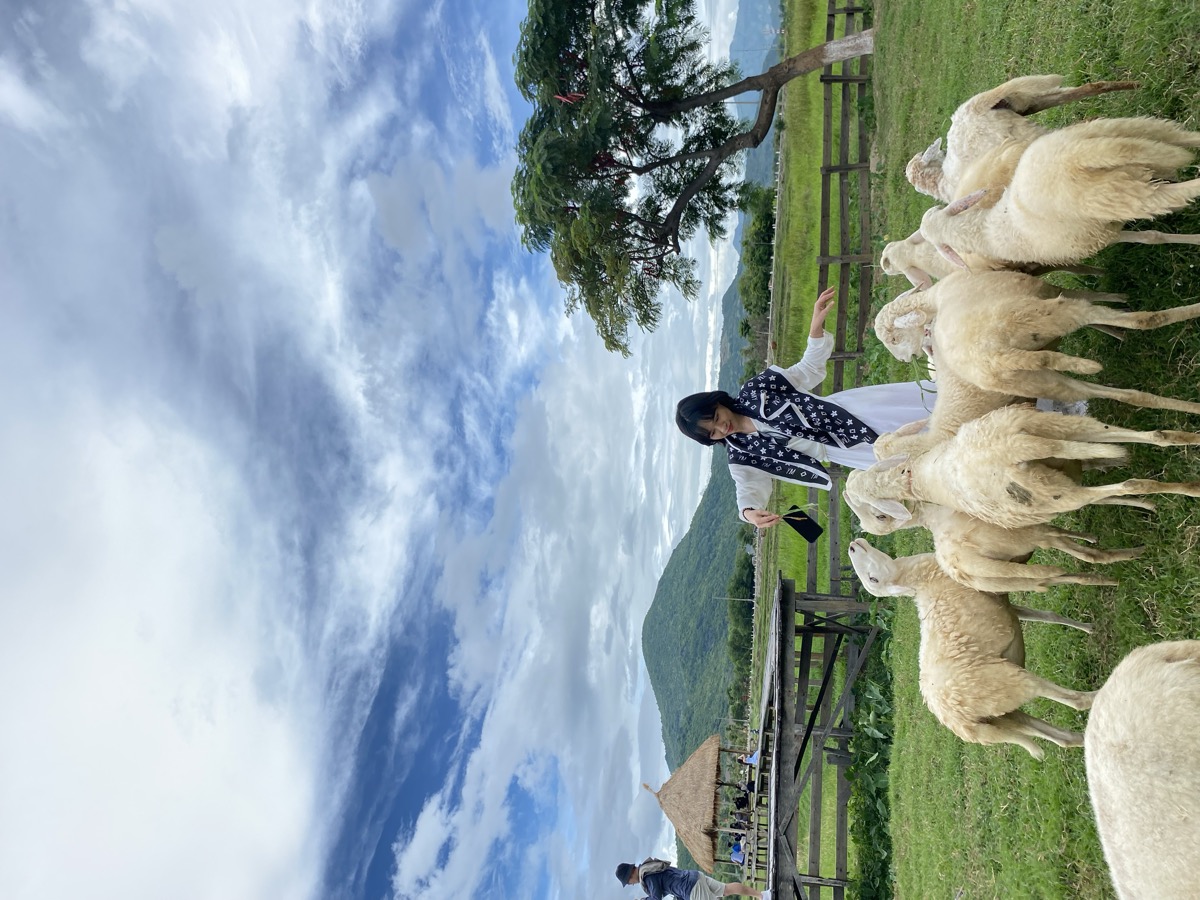Ferme de moutons avec vue montagne Nha Trang