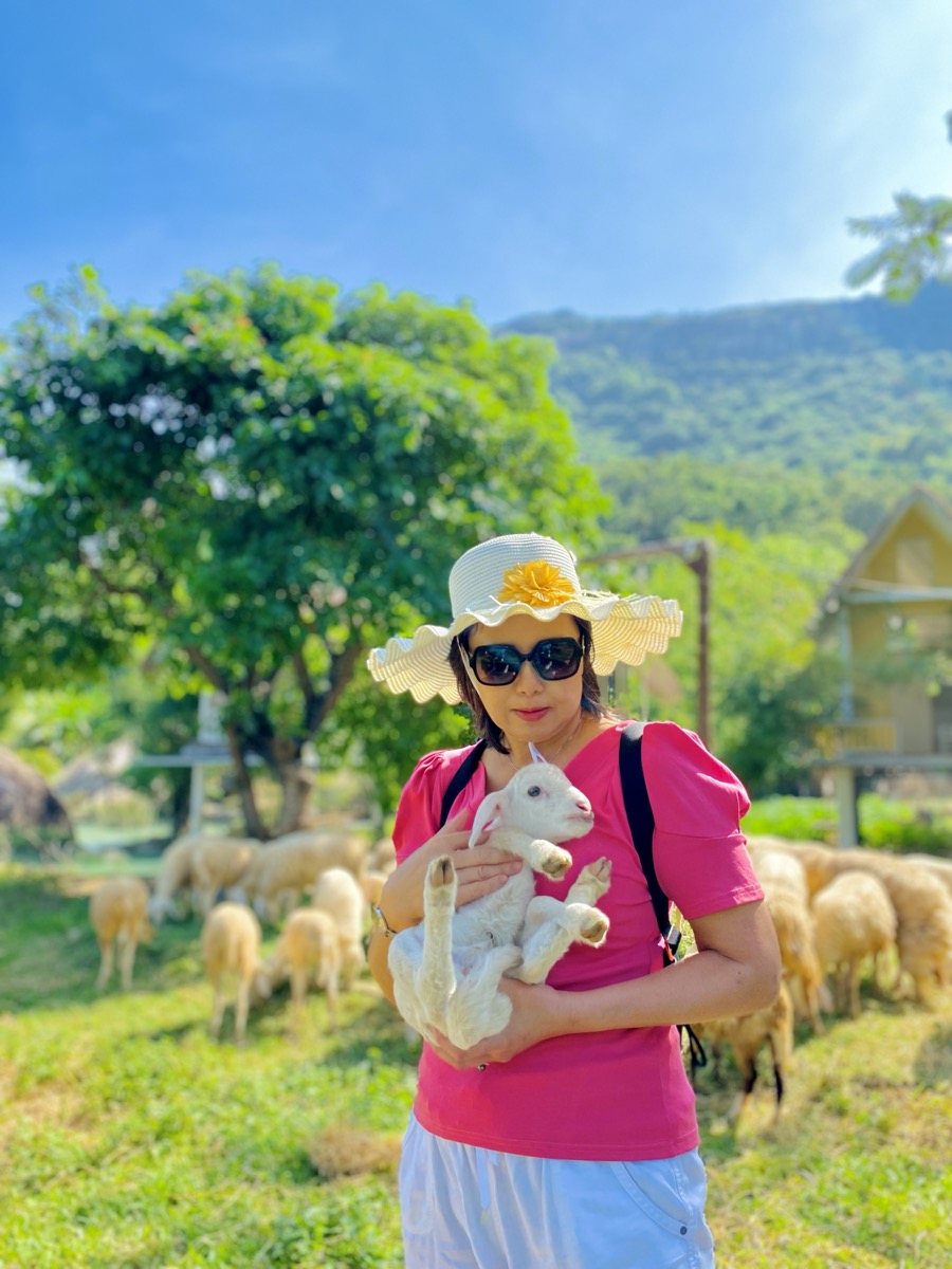 Câlin avec agneau à la ferme de moutons