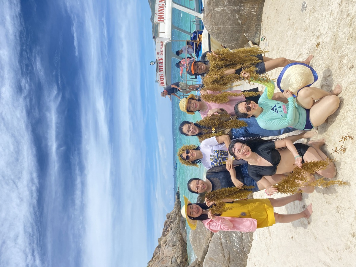 Groupe sur plage avec algues marines récoltées